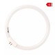 Recambio de Lupa con Lámpara LED Prym 610716 610713